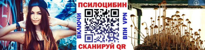 Псилоцибиновые грибы Cubensis  Нарткала 