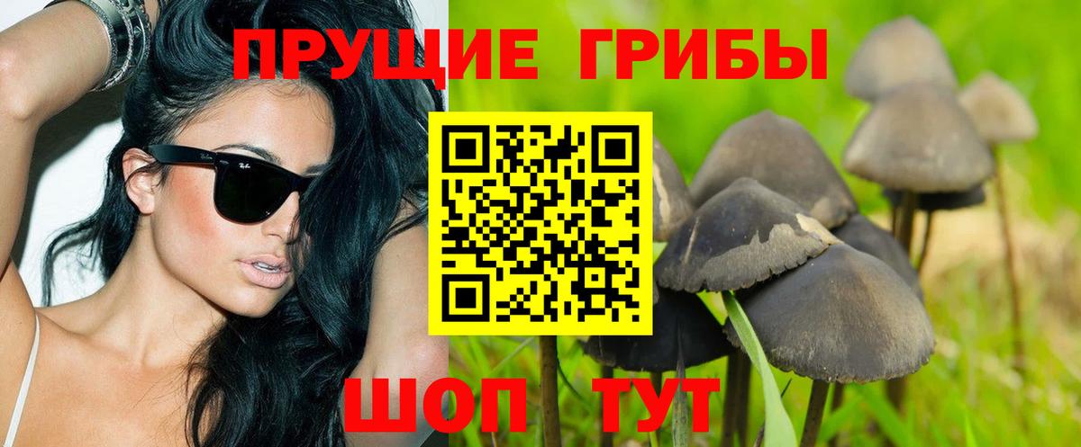 Псилоцибиновые грибы мухоморы Нарткала