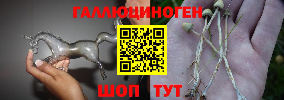Нарткала  Псилоцибиновые грибы мицелий  купить  сайты  Вход с VPN  Псилоцибиновые грибы GOLDEN TEACHER 